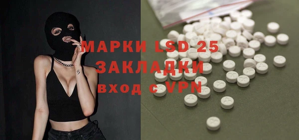 индика Арсеньев