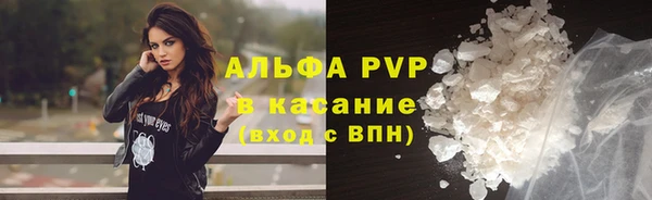 индика Арсеньев