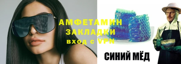 индика Арсеньев