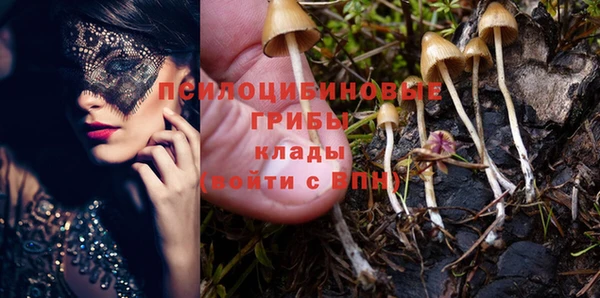 индика Арсеньев