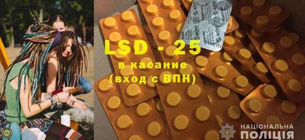 индика Арсеньев