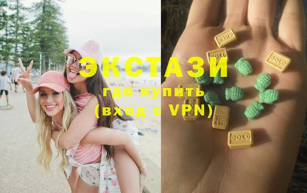 индика Арсеньев